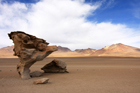 Árbol de Piedra, Siloli Desert